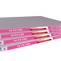 龍牌凈醛石膏板